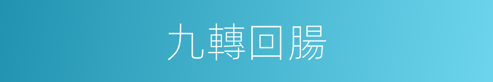 九轉回腸的同義詞