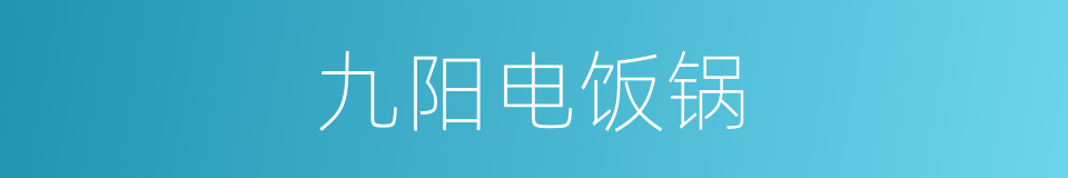 九阳电饭锅的同义词