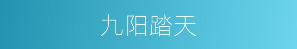 九阳踏天的同义词