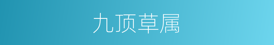 九顶草属的同义词