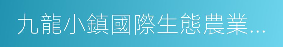 九龍小鎮國際生態農業度假區的同義詞