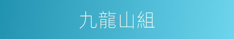 九龍山組的同義詞