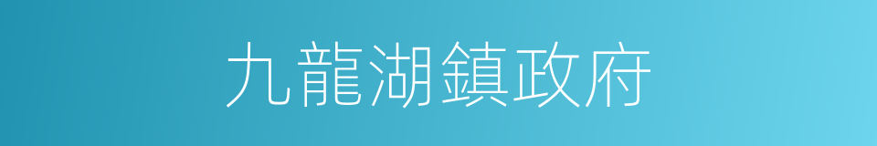 九龍湖鎮政府的同義詞