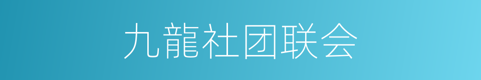 九龍社团联会的同義詞