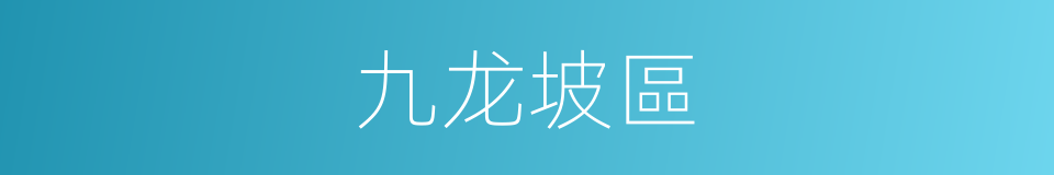 九龙坡區的同義詞