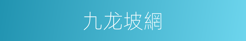 九龙坡網的同義詞