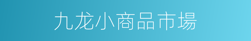 九龙小商品市場的同義詞