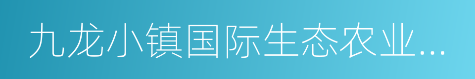 九龙小镇国际生态农业度假区的同义词