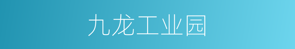 九龙工业园的同义词
