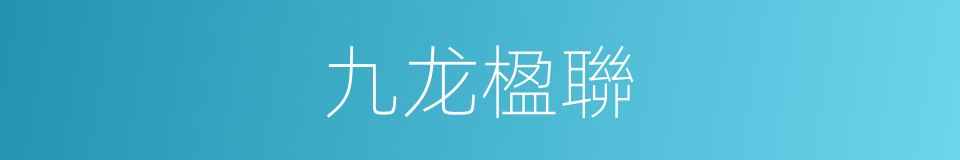 九龙楹聯的同義詞