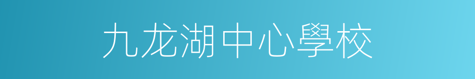 九龙湖中心學校的同義詞