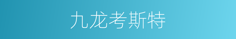 九龙考斯特的同义词