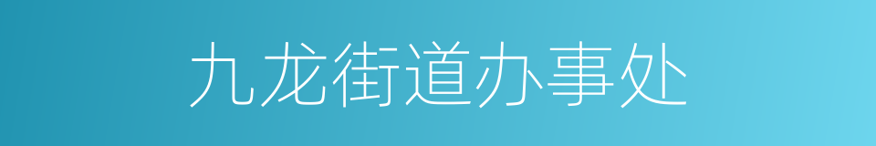 九龙街道办事处的同义词