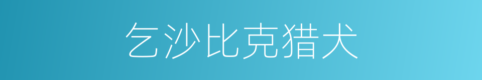乞沙比克猎犬的同义词