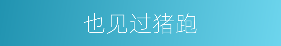 也见过猪跑的同义词