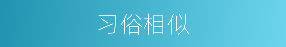 习俗相似的同义词