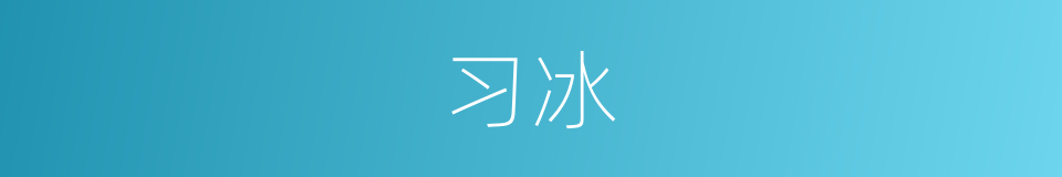 习冰的同义词