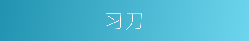 习刀的同义词