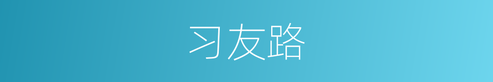 习友路的同义词