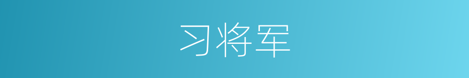 习将军的同义词