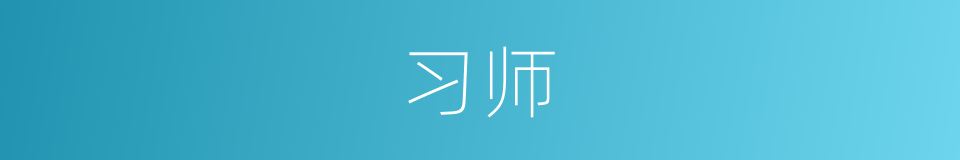 习师的同义词
