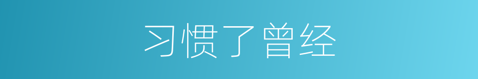 习惯了曾经的同义词
