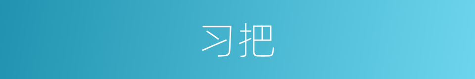 习把的同义词