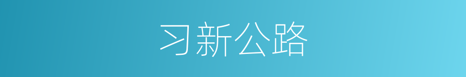 习新公路的同义词