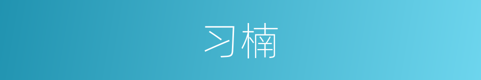 习楠的同义词