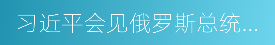 习近平会见俄罗斯总统普京的同义词