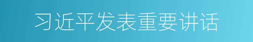 习近平发表重要讲话的同义词