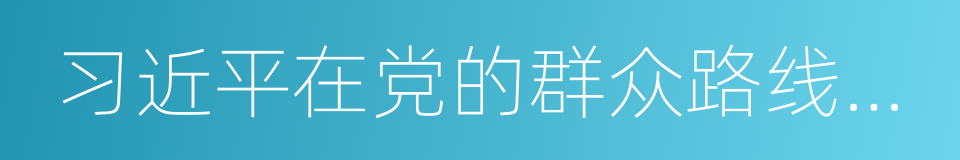 习近平在党的群众路线教育实践活动的同义词