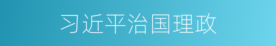 习近平治国理政的同义词