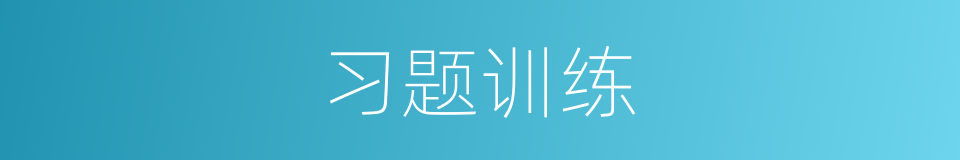 习题训练的同义词
