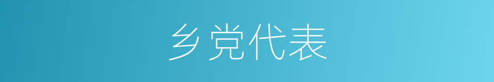 乡党代表的同义词