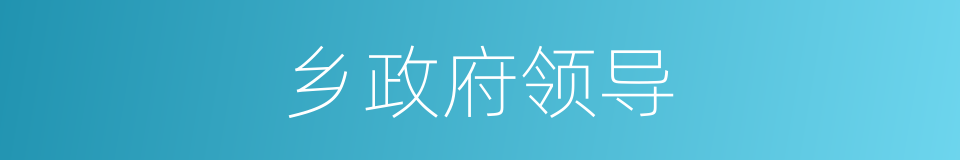 乡政府领导的同义词