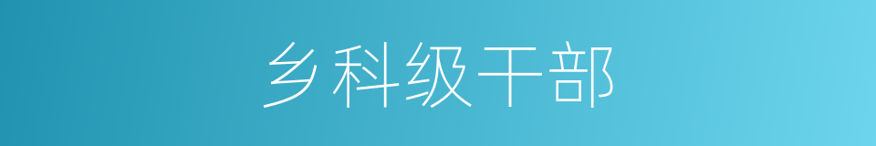 乡科级干部的同义词