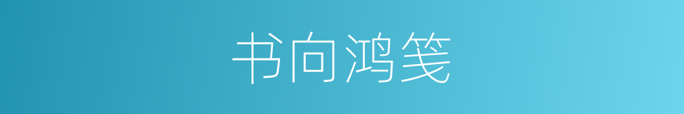 书向鸿笺的同义词