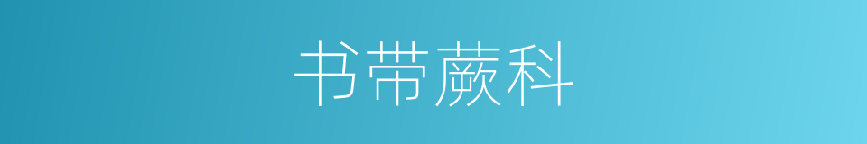 书带蕨科的同义词