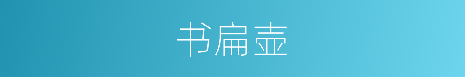 书扁壶的同义词