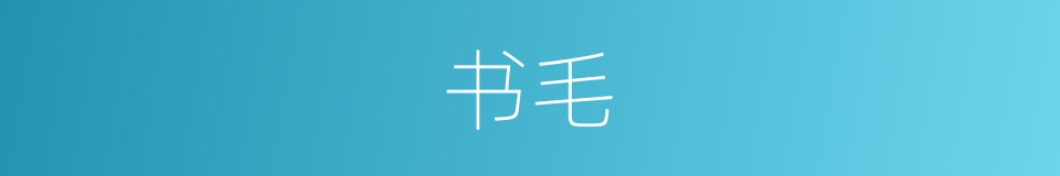 书毛的同义词