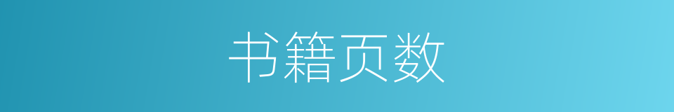 书籍页数的同义词