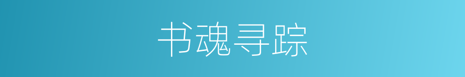 书魂寻踪的同义词