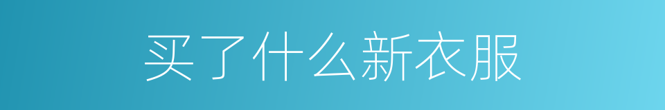 买了什么新衣服的同义词