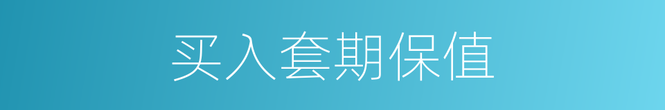 买入套期保值的同义词