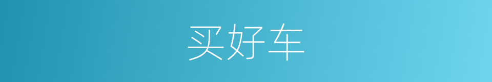 买好车的同义词