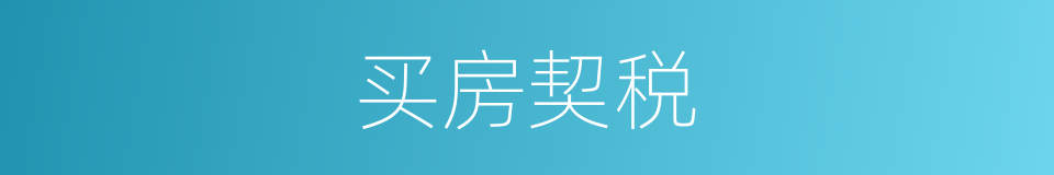 买房契税的同义词