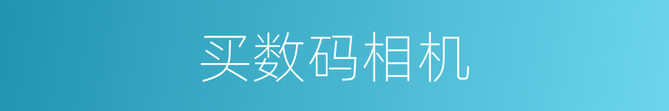 买数码相机的同义词