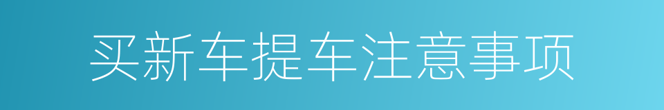 买新车提车注意事项的同义词