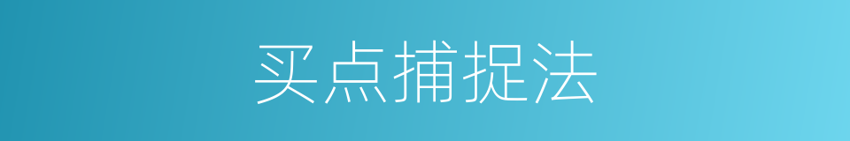 买点捕捉法的同义词